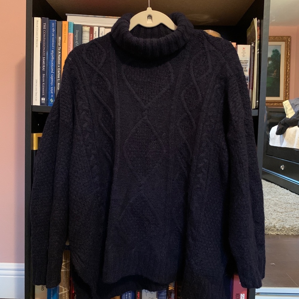 Aerie Chunky Turtleneck Sweater